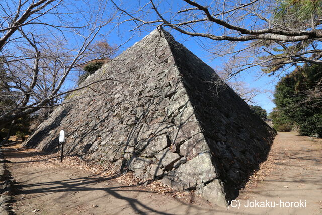 豊後 日出城の写真