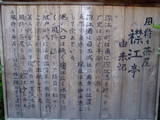 豊後 日出城の写真