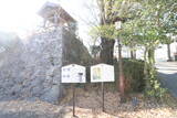 豊後 日出城の写真