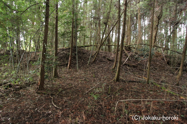 豊後 平田山土塁の写真