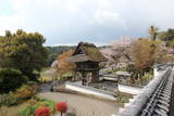 豊後 飯塚城の写真