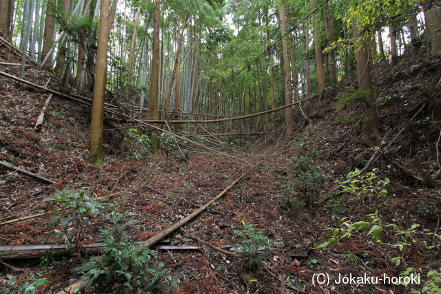 豊後 蕪山城の写真