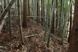 豊後 蕪山城の写真