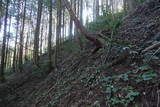 豊後 鹿鳴越城の写真