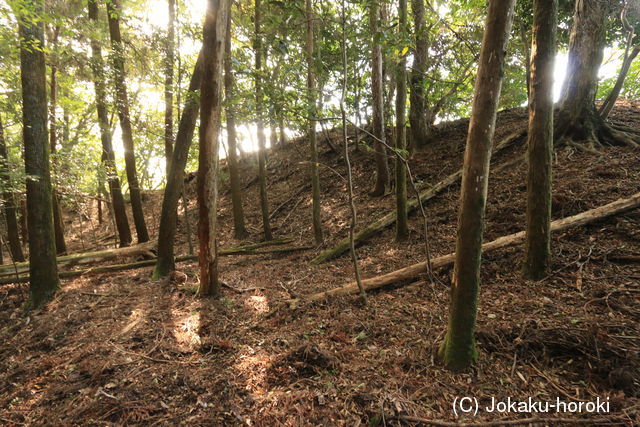 豊後 烏岳城の写真