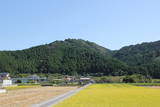 豊後 小田山城の写真