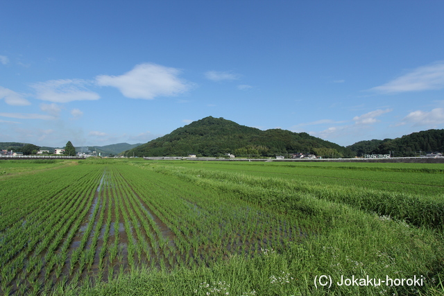 豊後 甲ノ尾城の写真