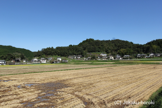 豊後 鶴ヶ城の写真