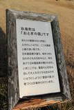 豊後 玖珠城の写真