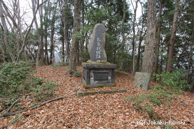 豊後 松牟礼城の写真