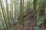豊後 三船城の写真