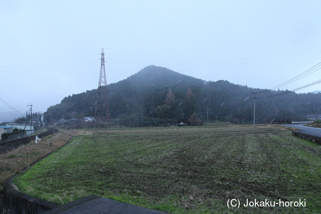 豊後 野田城の写真