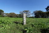 豊後 岡城の写真