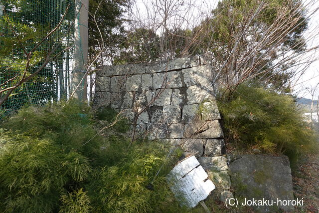豊後 臼杵藩 洲崎台場の写真