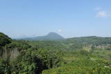 豊後 高崎山城の写真