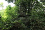 豊後 竹ノ尾城の写真