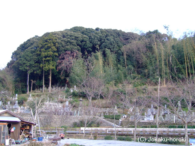 豊後 竹田津城の写真