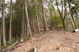 豊後 武山城の写真