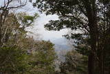豊後 武山城の写真
