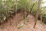 豊後 武山城の写真