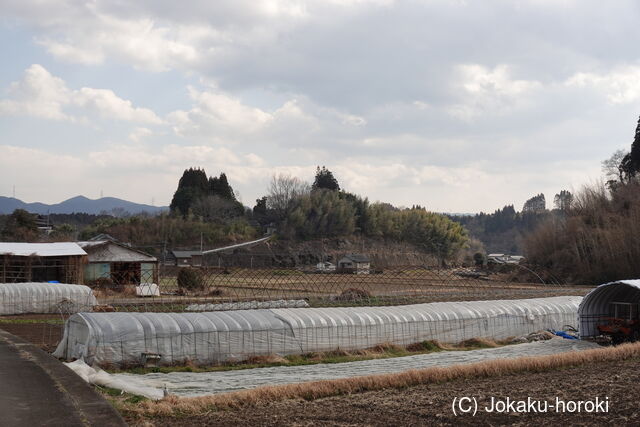 豊後 寺田館の写真