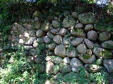 豊後 月隈城の写真