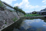 豊後 月隈城の写真