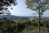 豊後 鶴賀城の写真