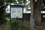 豊後 鶴崎城の写真