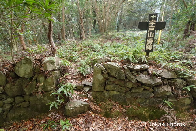 豊後 宇土山砦の写真