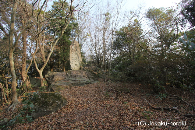 豊後 屋山城の写真