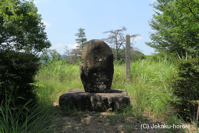 豊後 吉広城の写真