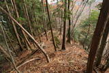 豊後 緩木高城の写真