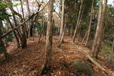 豊後 緩木高城の写真