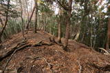 豊後 緩木高城の写真