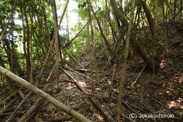 豊前 青山城B砦の写真