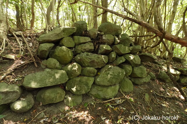 豊前 青山城C砦の写真