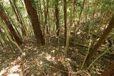 豊前 青山城C砦の写真