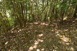 豊前 青山城C砦の写真