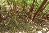 豊前 青山城C砦の写真