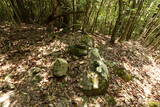豊前 青山城D砦の写真