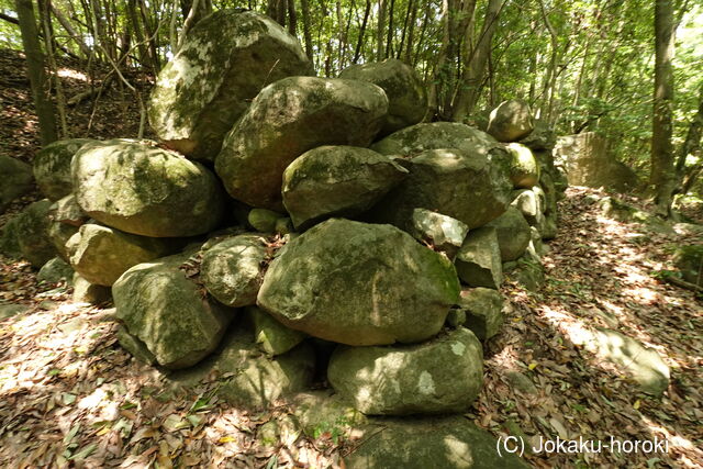 豊前 青山城E砦の写真