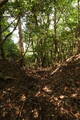 豊前 青山城E砦の写真