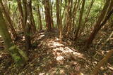 豊前 青山城E砦の写真