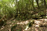 豊前 青山城E砦の写真