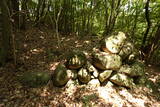 豊前 青山城E砦の写真