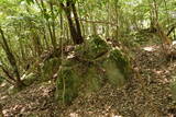 豊前 青山城E砦の写真