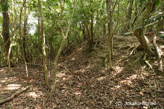 豊前 青山城G砦の写真