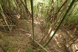 豊前 青山城G砦の写真