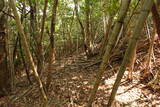 豊前 青山城G砦の写真